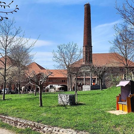 Tinyhousebeidresden 1 - Direkt Am Naturteich - Naehe Saechsische Schweiz, Dresden Grossharthau Екстер'єр фото